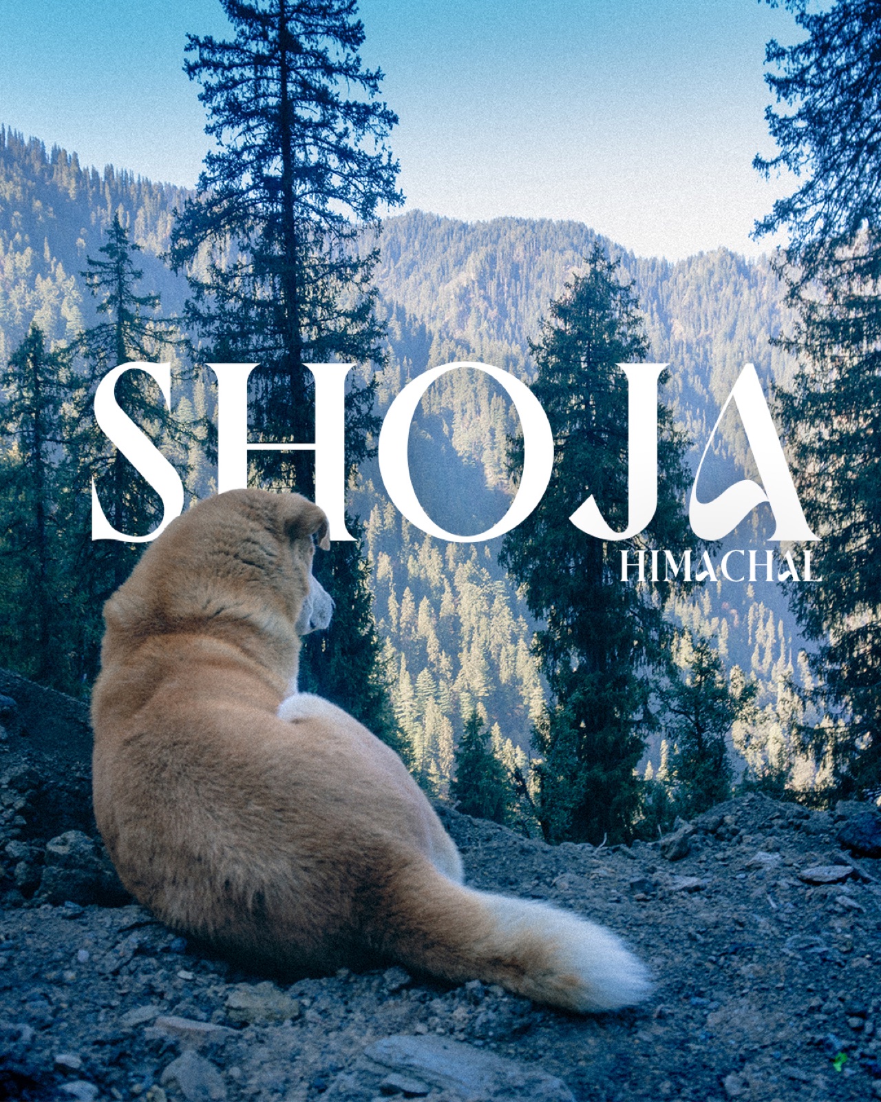Poster still — Shoja